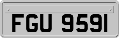 FGU9591