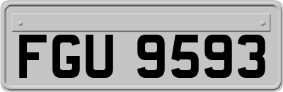 FGU9593