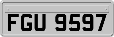 FGU9597