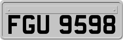 FGU9598