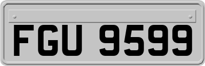 FGU9599