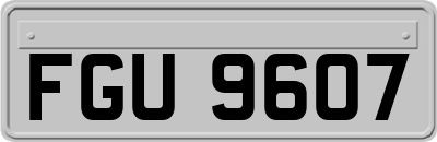 FGU9607