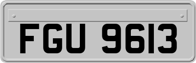 FGU9613