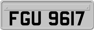 FGU9617