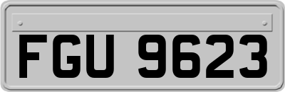 FGU9623