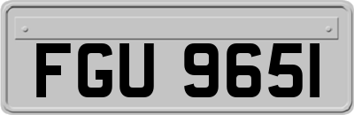 FGU9651
