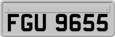 FGU9655