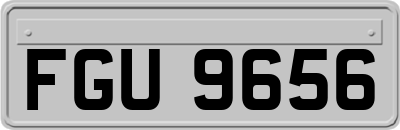 FGU9656