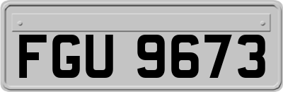 FGU9673
