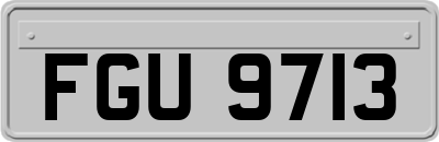 FGU9713
