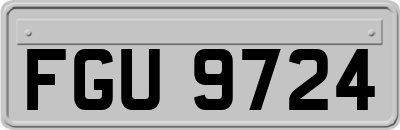 FGU9724