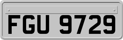 FGU9729