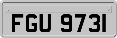 FGU9731