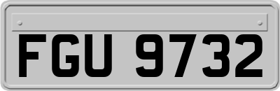 FGU9732