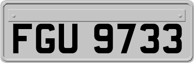 FGU9733