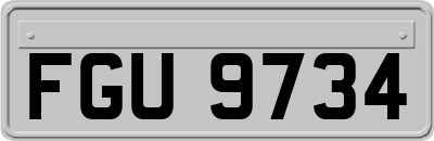 FGU9734