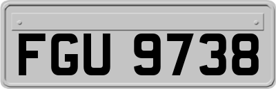 FGU9738