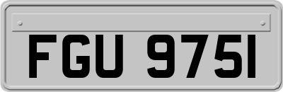 FGU9751