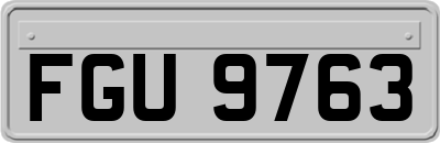 FGU9763