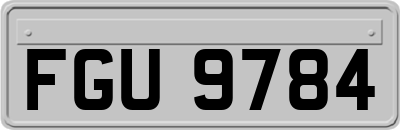 FGU9784