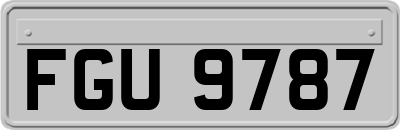 FGU9787