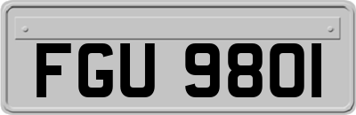 FGU9801
