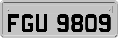 FGU9809