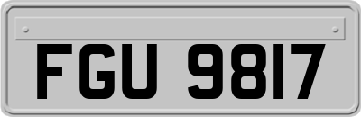 FGU9817
