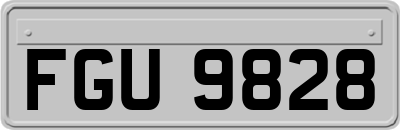 FGU9828