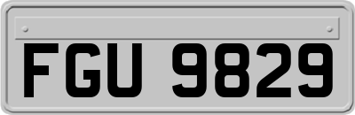 FGU9829