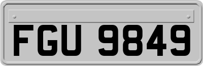 FGU9849