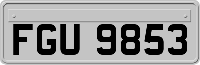 FGU9853