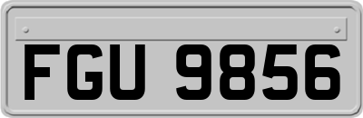 FGU9856