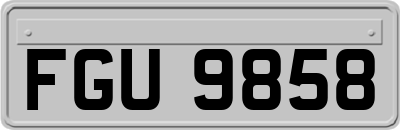 FGU9858