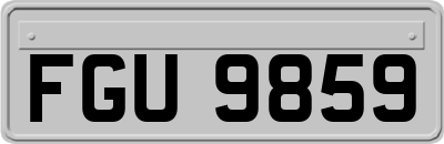 FGU9859