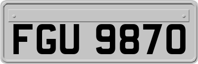 FGU9870