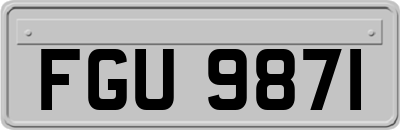 FGU9871