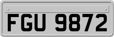 FGU9872