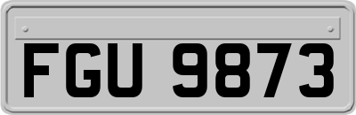 FGU9873