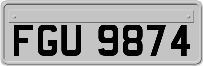 FGU9874