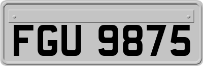 FGU9875