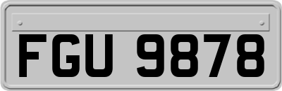 FGU9878
