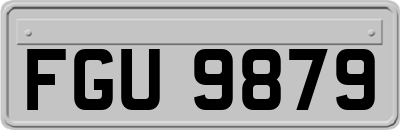 FGU9879