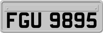FGU9895