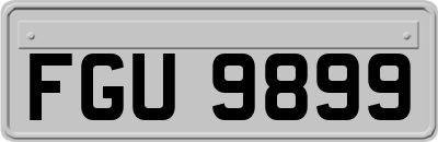 FGU9899