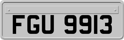 FGU9913