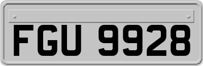 FGU9928