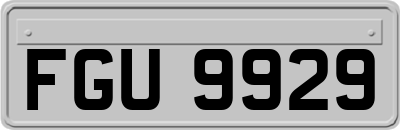 FGU9929