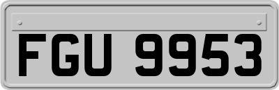 FGU9953