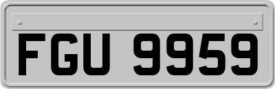 FGU9959